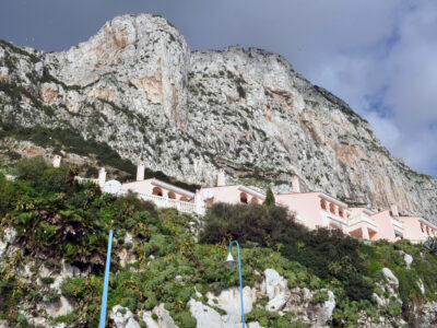 DSC_0501