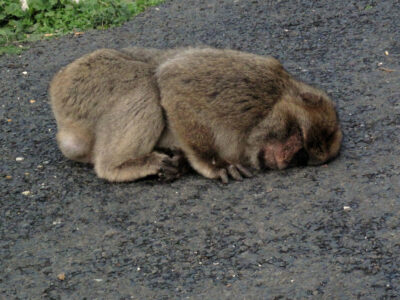Picture 922