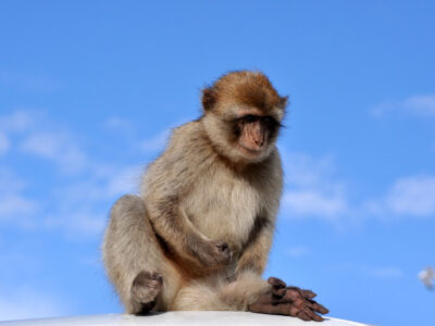 Picture 312